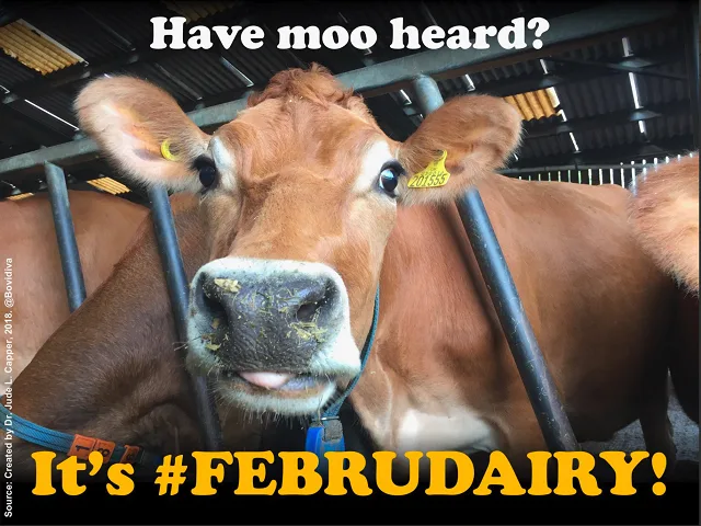 Have Moo Herd? It's #Februdairy!