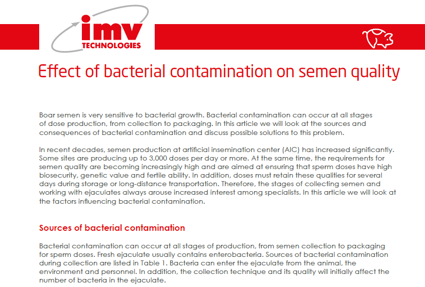 Effect of bacterial contamination on semen quality