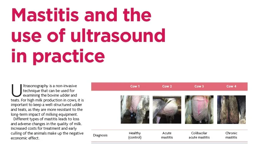 Mastitis and the use of ultrasound in practice