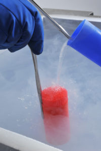 Changing Attitudes Towards Frozen Semen